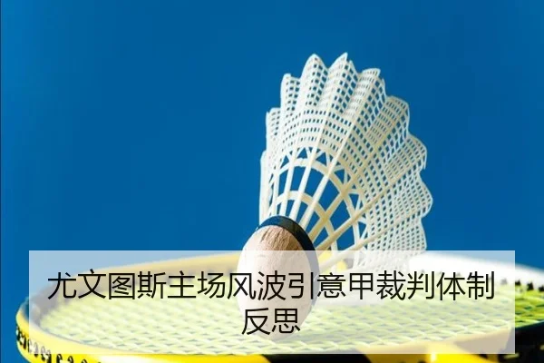 尤文图斯主场风波引意甲裁判体制反思